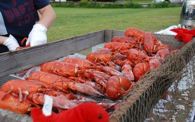 ClymerNewYork_DSC_0319