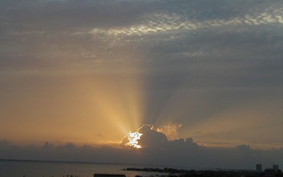 P6110002